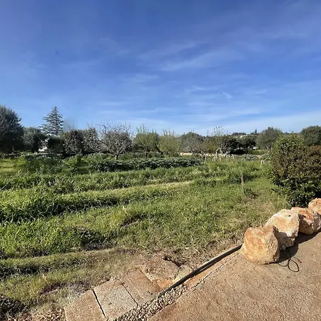 Trinchera - - Relax & Comfort Villa